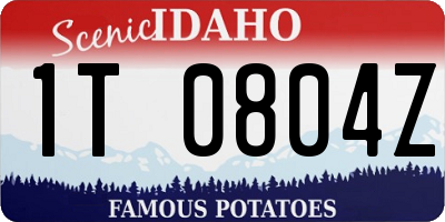 ID license plate 1T0804Z
