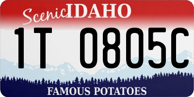 ID license plate 1T0805C