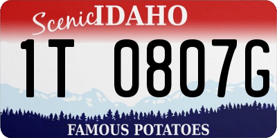 ID license plate 1T0807G