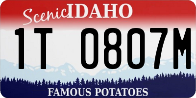 ID license plate 1T0807M