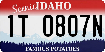 ID license plate 1T0807N