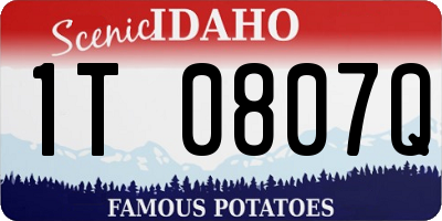 ID license plate 1T0807Q