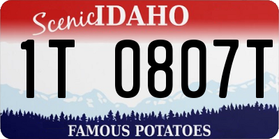 ID license plate 1T0807T