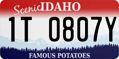 ID license plate 1T0807Y
