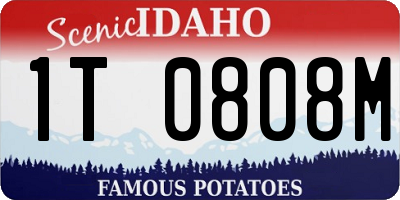 ID license plate 1T0808M