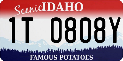 ID license plate 1T0808Y