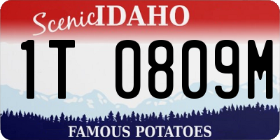 ID license plate 1T0809M