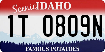 ID license plate 1T0809N