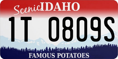 ID license plate 1T0809S