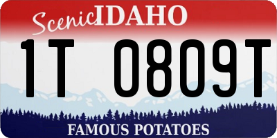 ID license plate 1T0809T