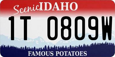ID license plate 1T0809W