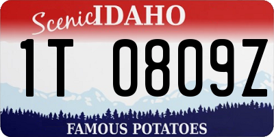 ID license plate 1T0809Z