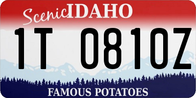 ID license plate 1T0810Z