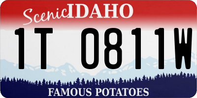 ID license plate 1T0811W
