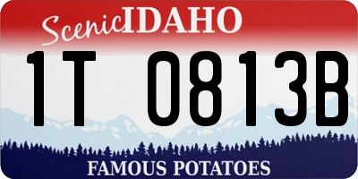 ID license plate 1T0813B