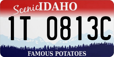 ID license plate 1T0813C