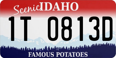 ID license plate 1T0813D