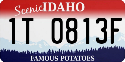 ID license plate 1T0813F