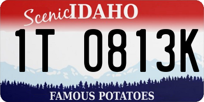 ID license plate 1T0813K