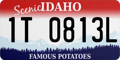 ID license plate 1T0813L