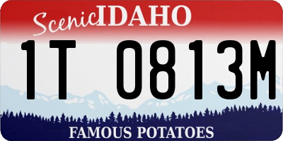ID license plate 1T0813M
