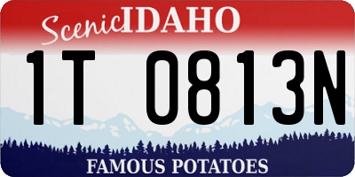 ID license plate 1T0813N