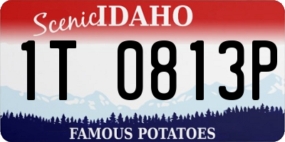 ID license plate 1T0813P