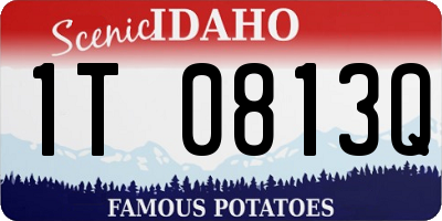 ID license plate 1T0813Q