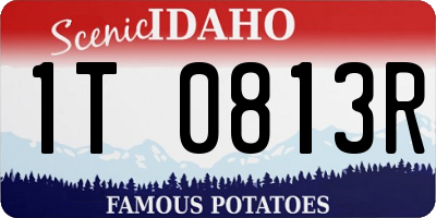ID license plate 1T0813R