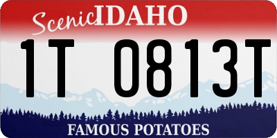 ID license plate 1T0813T