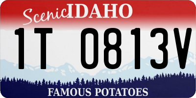 ID license plate 1T0813V