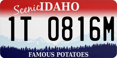 ID license plate 1T0816M