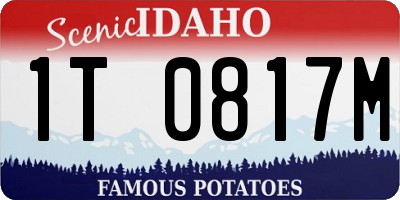 ID license plate 1T0817M