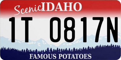 ID license plate 1T0817N