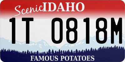 ID license plate 1T0818M
