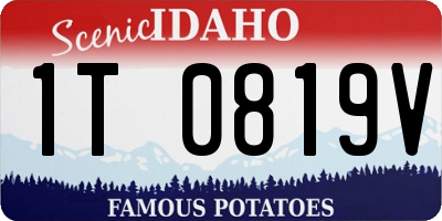 ID license plate 1T0819V
