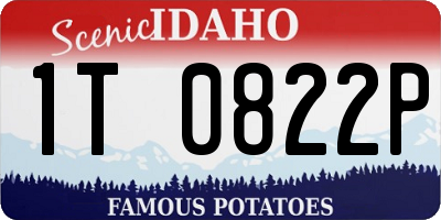 ID license plate 1T0822P