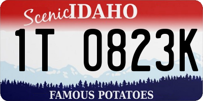 ID license plate 1T0823K