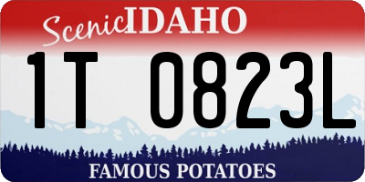 ID license plate 1T0823L