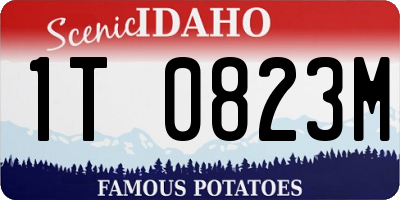 ID license plate 1T0823M
