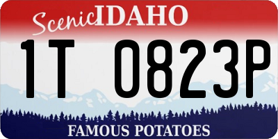 ID license plate 1T0823P