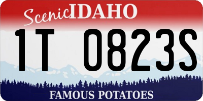 ID license plate 1T0823S
