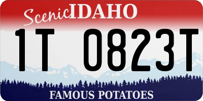 ID license plate 1T0823T
