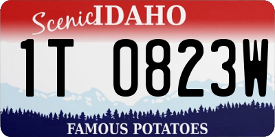 ID license plate 1T0823W
