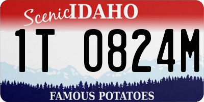 ID license plate 1T0824M