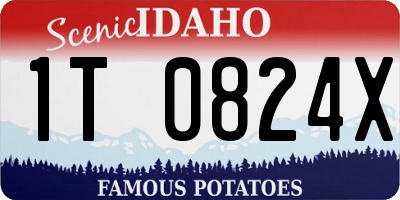 ID license plate 1T0824X