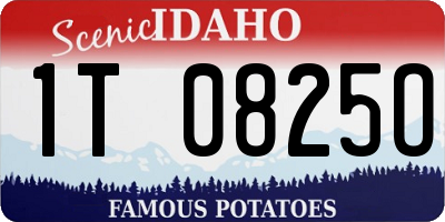 ID license plate 1T0825O
