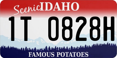 ID license plate 1T0828H