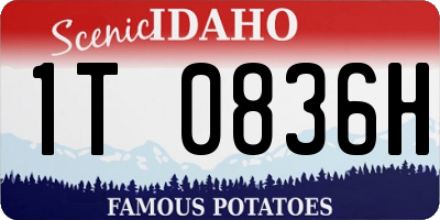 ID license plate 1T0836H