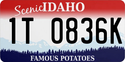 ID license plate 1T0836K